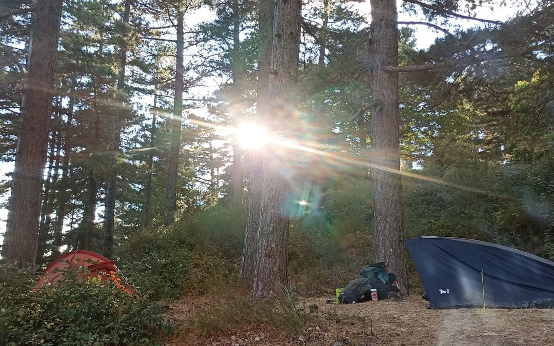 Vosges – Tour des lacs en bivouac