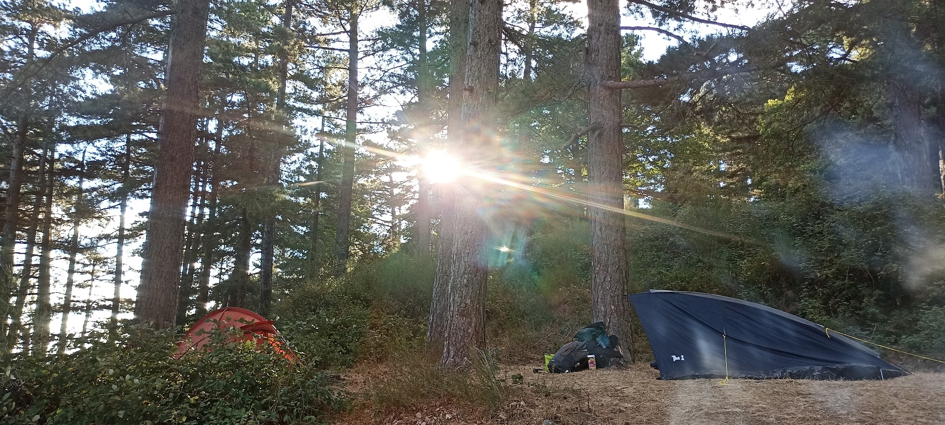 Vosges – Tour des lacs en bivouac