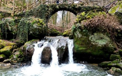 Randonnée et Nuit en Pods au Cœur du Mullerthal