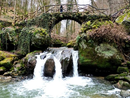 Randonnée et Nuit en Pods au Cœur du Mullerthal