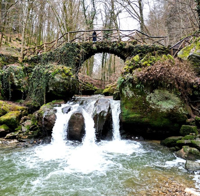 Randonnée et Nuit en Pods au Cœur du Mullerthal