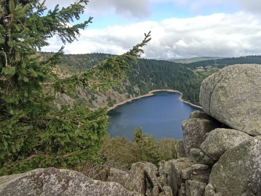 Vosges – Tour des lacs en refuge de montagne