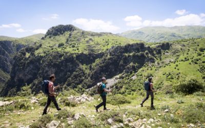 Le Parc des Madonies : trek de la mer au sommet