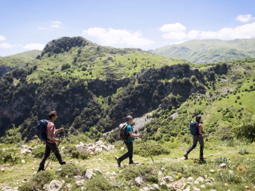 Le Parc des Madonies : trek de la mer au sommet