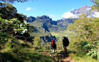 À la découverte des trésors de l’Île Intense : Voyage au cœur de la Réunion