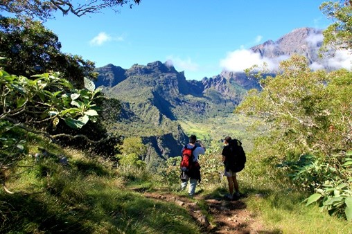À la découverte des trésors de l’Île Intense : Voyage au cœur de la Réunion