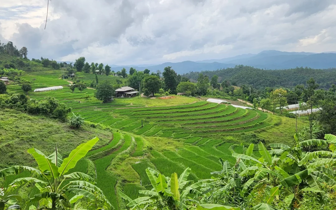 À la rencontre d’une Thaïlande vivante