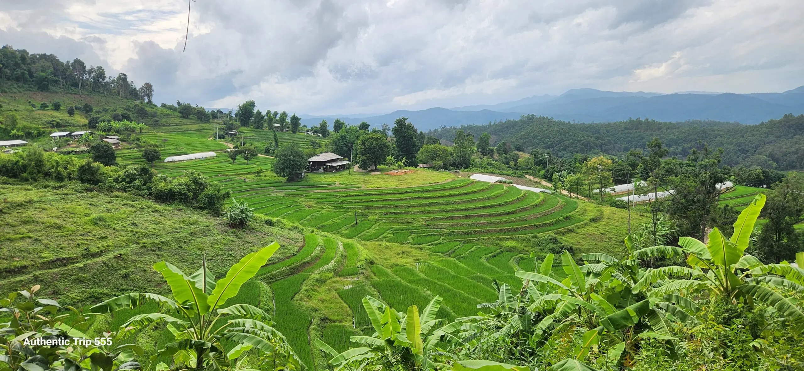À la rencontre d’une Thaïlande vivante